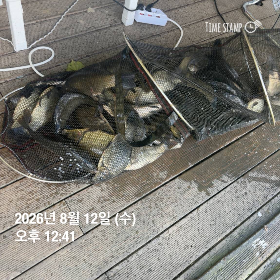 KakaoTalk_20260813_083502876_16.jpg