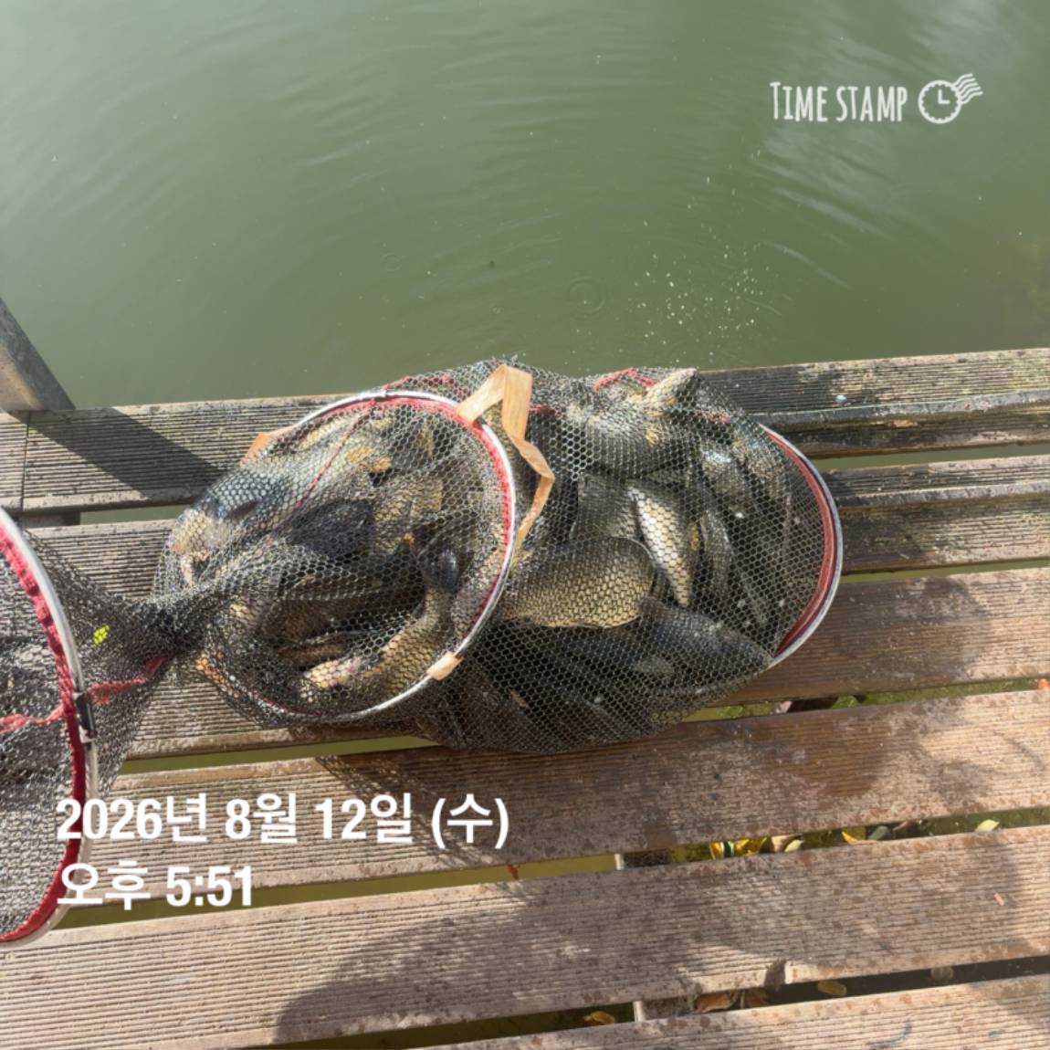 KakaoTalk_20260813_083502876_17.jpg