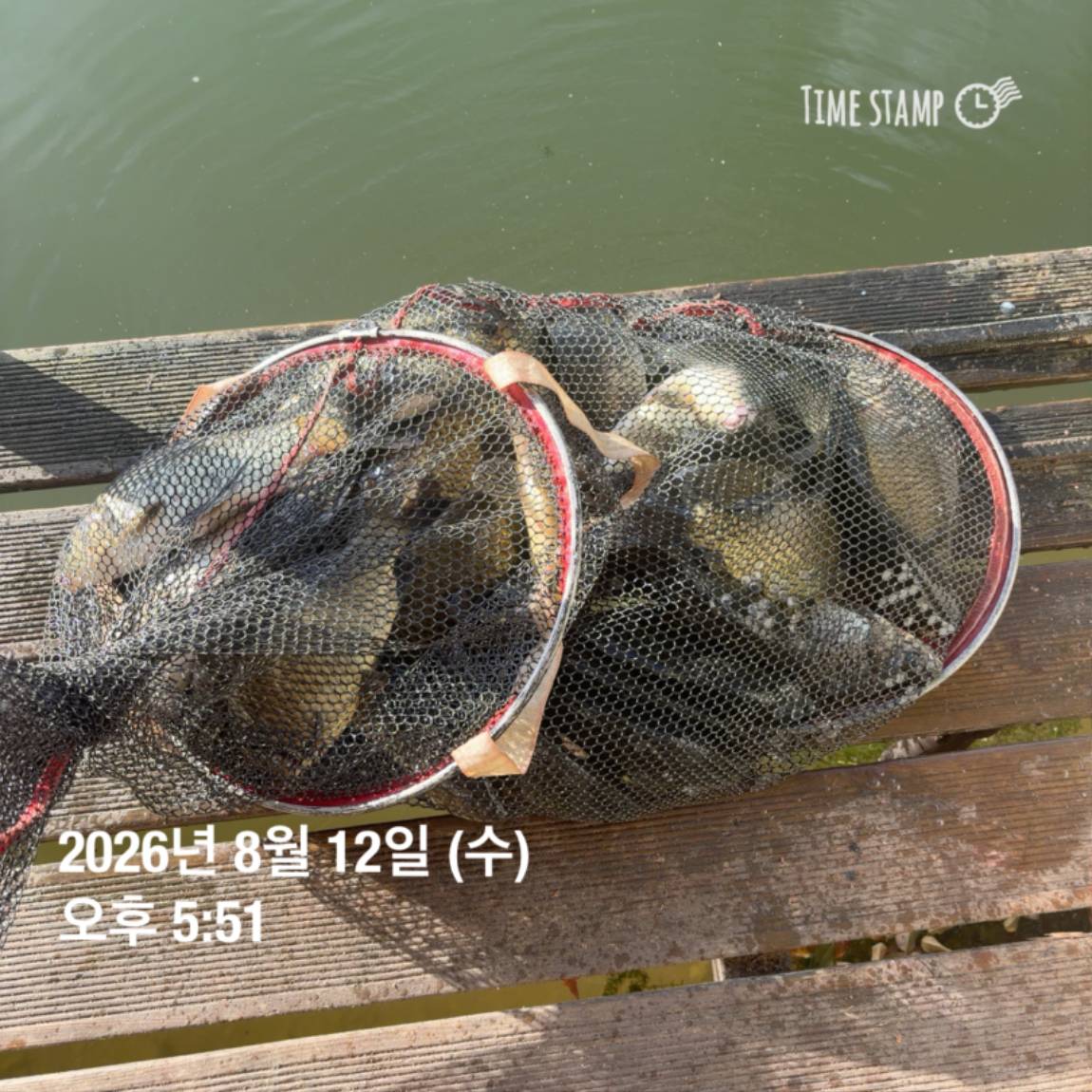 KakaoTalk_20260813_083502876_18.jpg