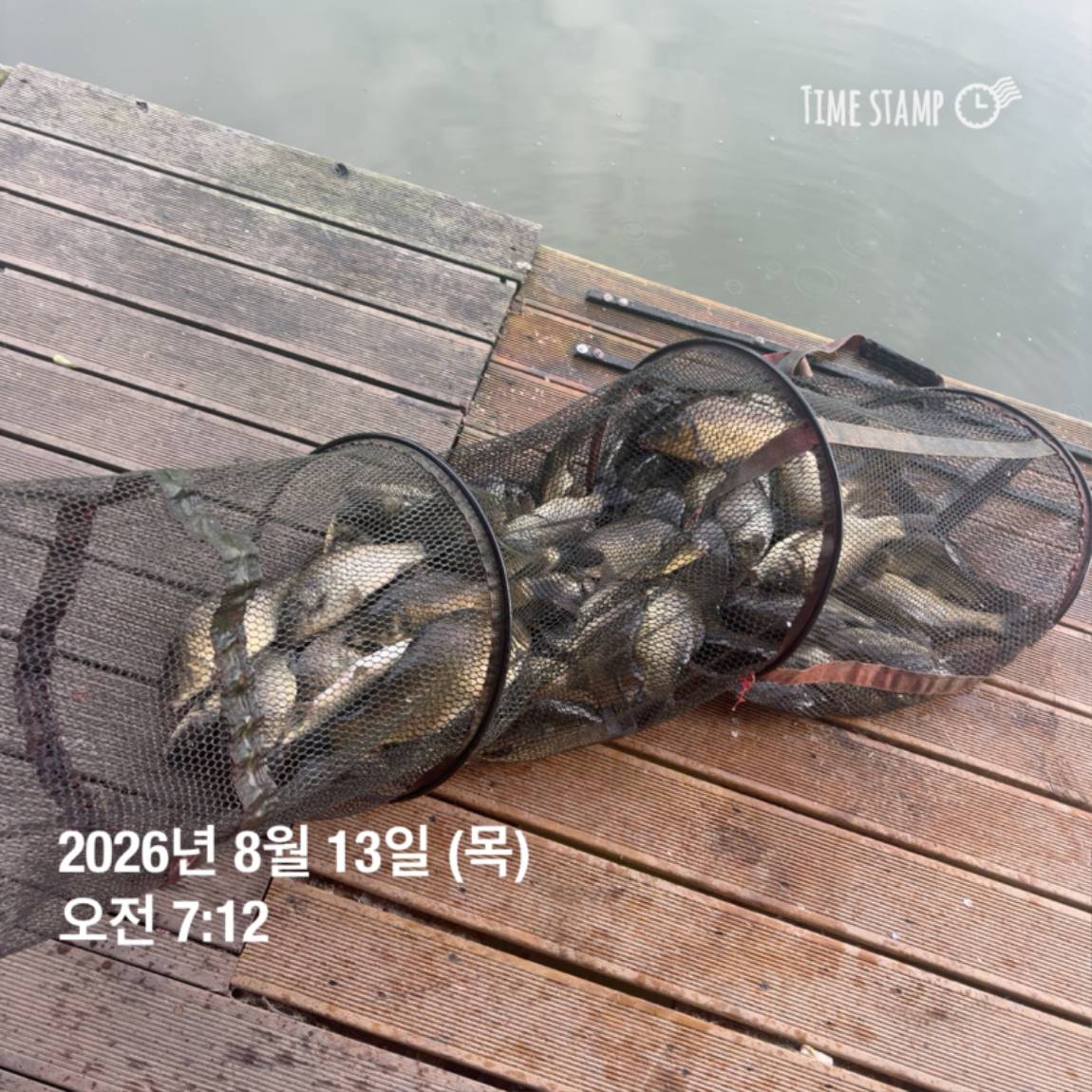 KakaoTalk_20260813_083502876_20.jpg