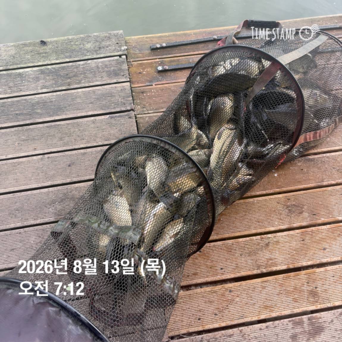 KakaoTalk_20260813_083502876_22.jpg