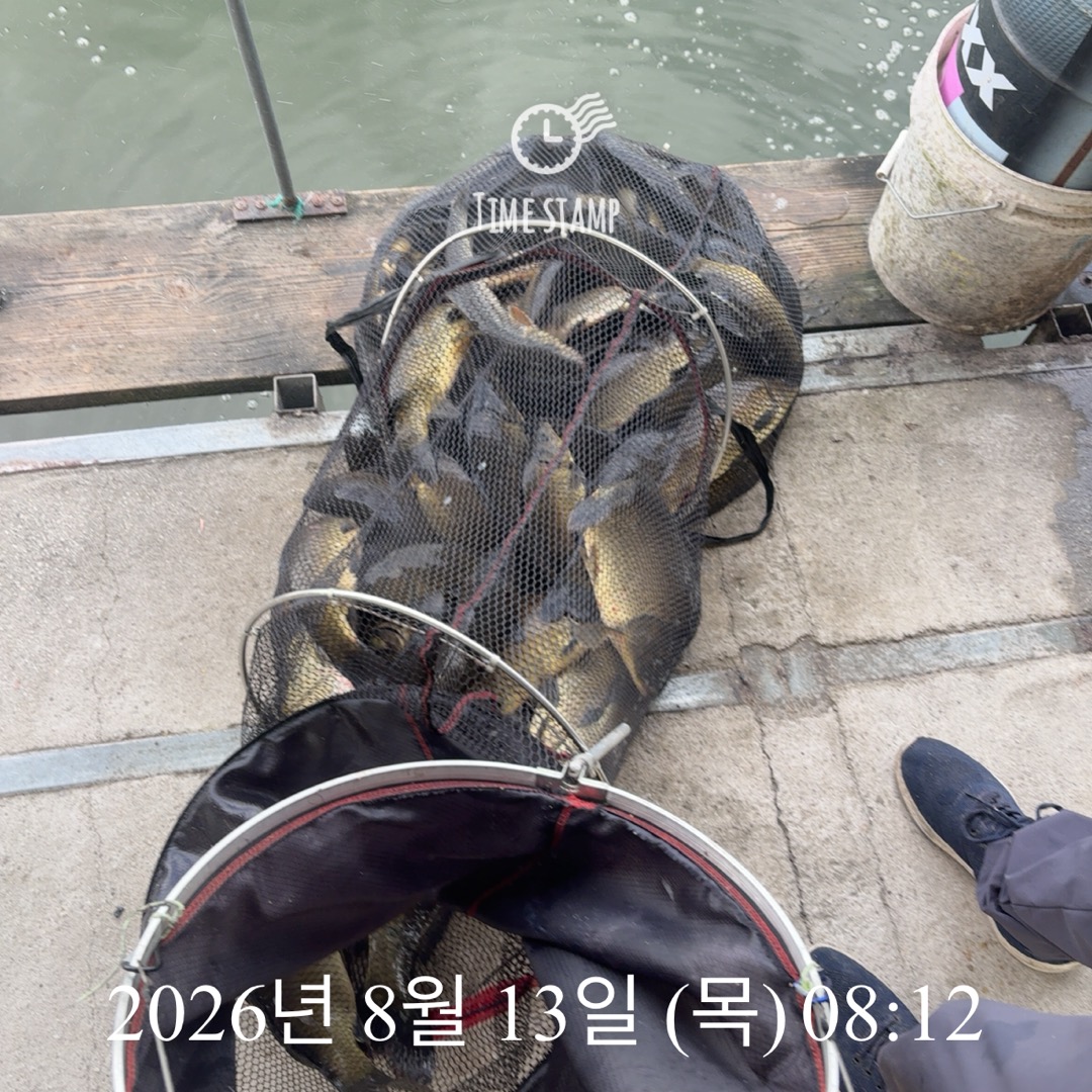 KakaoTalk_20260813_091144451.jpg