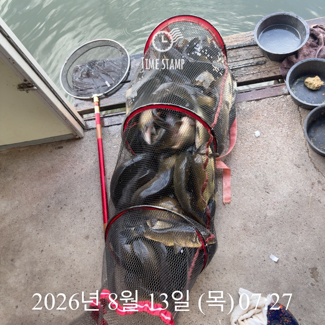 KakaoTalk_20260813_091144451_02.jpg