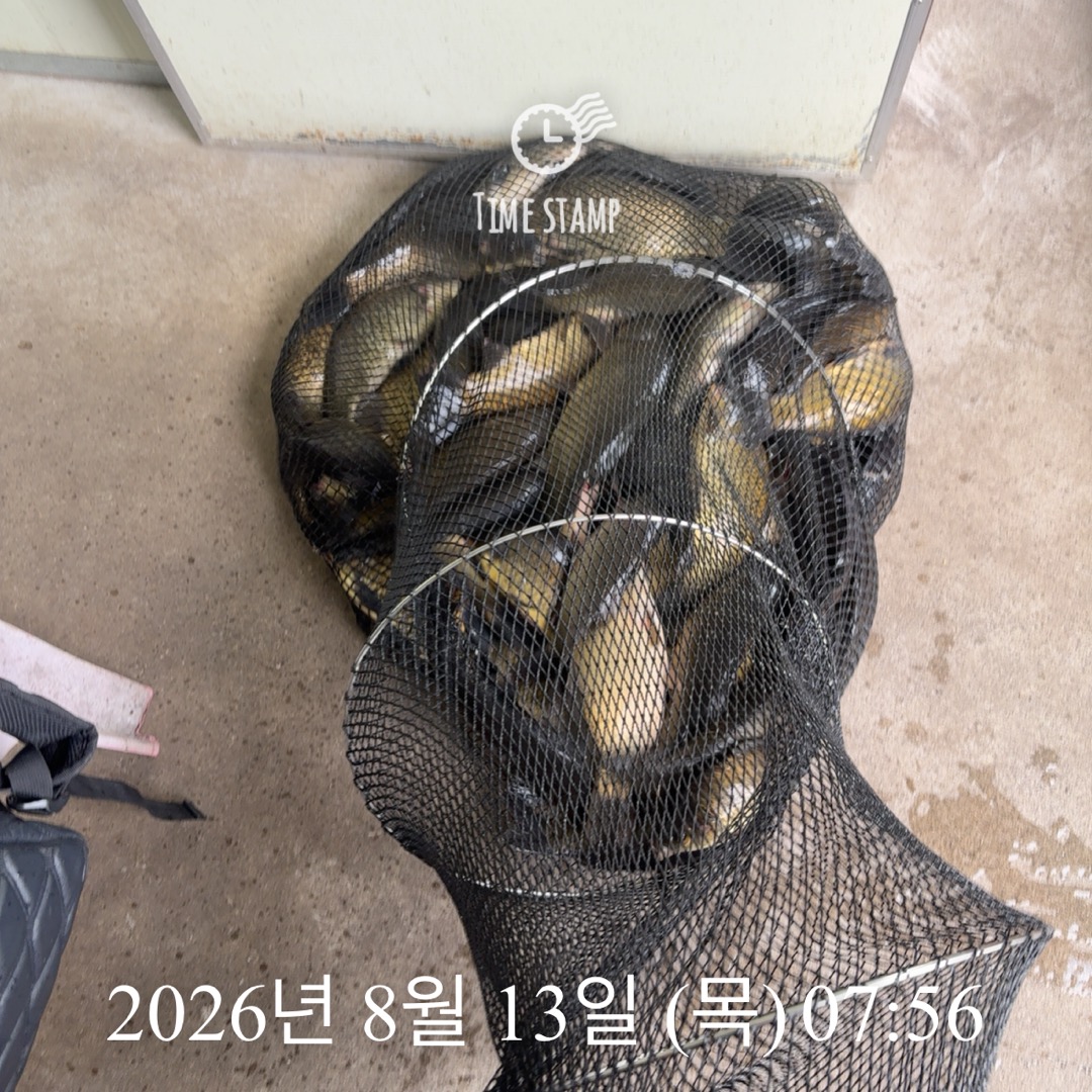 KakaoTalk_20260813_091144451_01.jpg