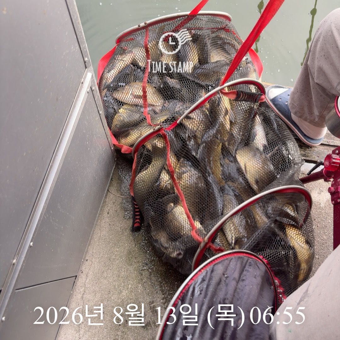 KakaoTalk_20260813_091144451_03.jpg