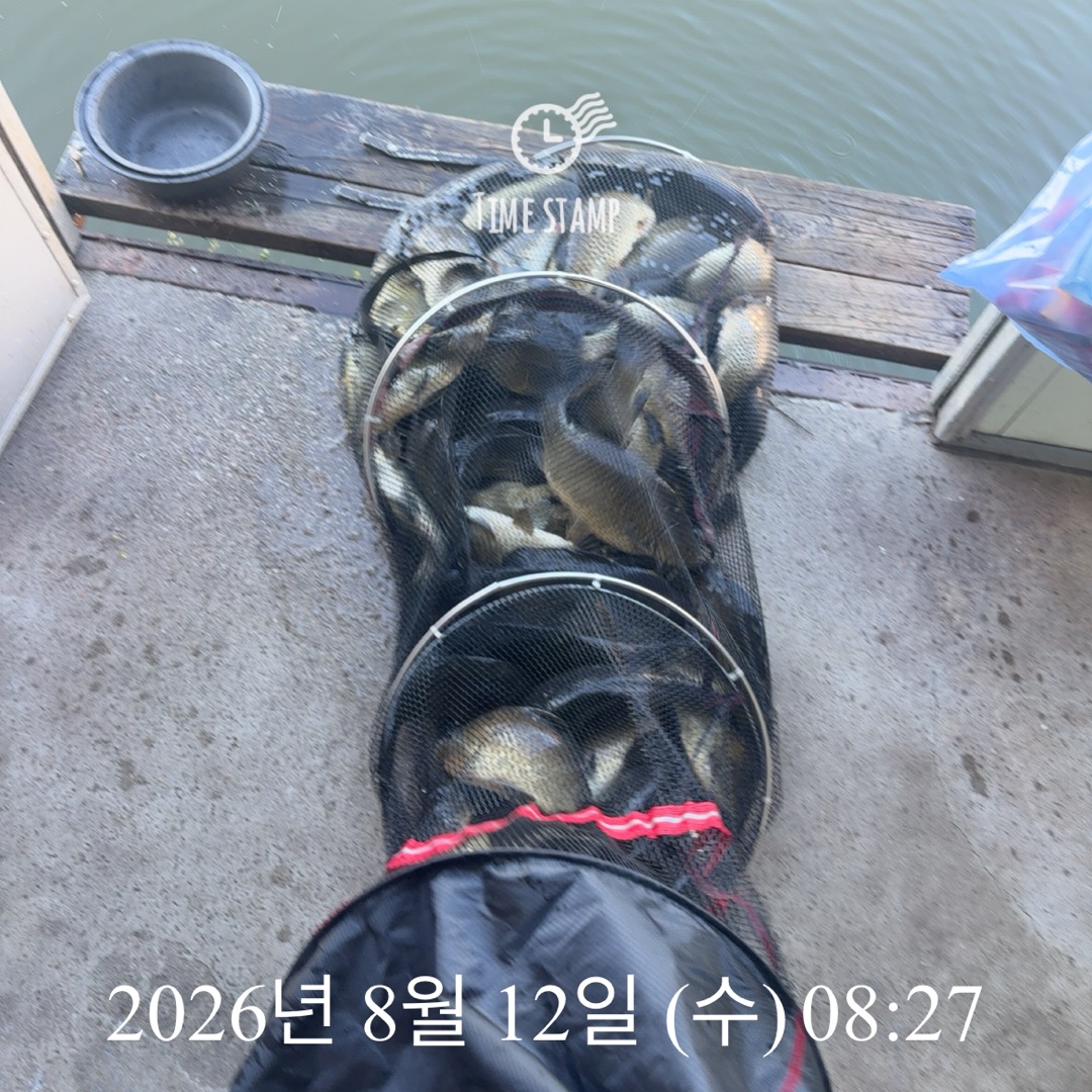 KakaoTalk_20260813_091144451_05.jpg
