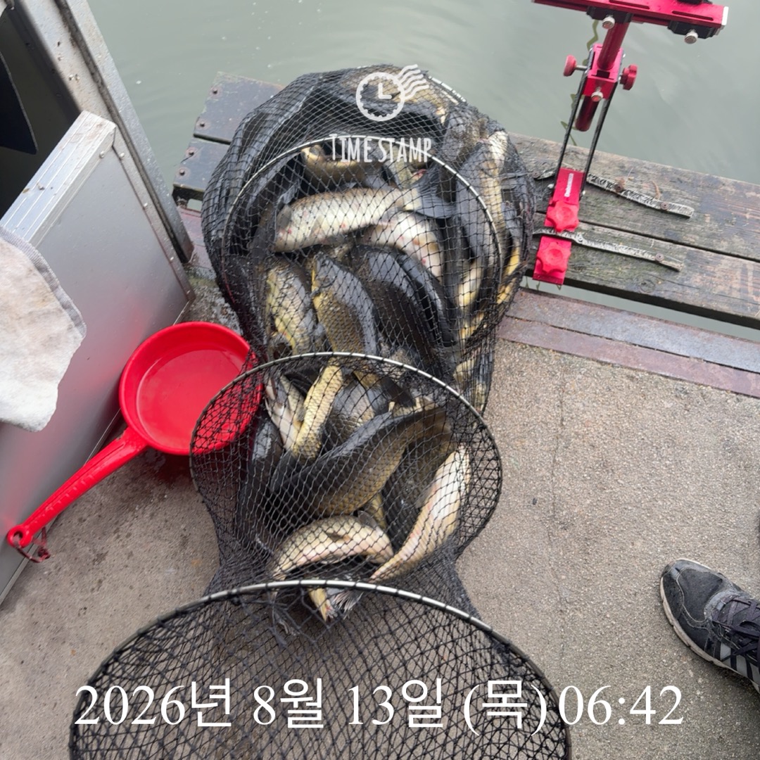 KakaoTalk_20260813_091144451_04.jpg