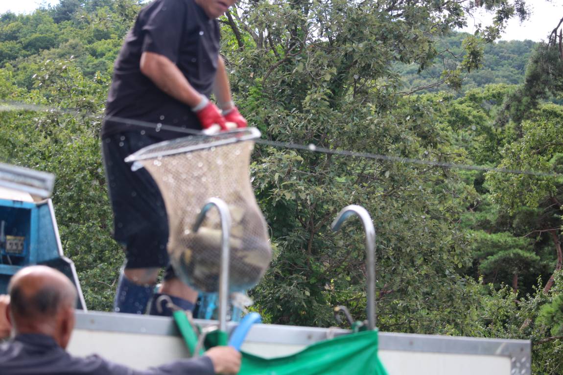 IMG_8059.JPG