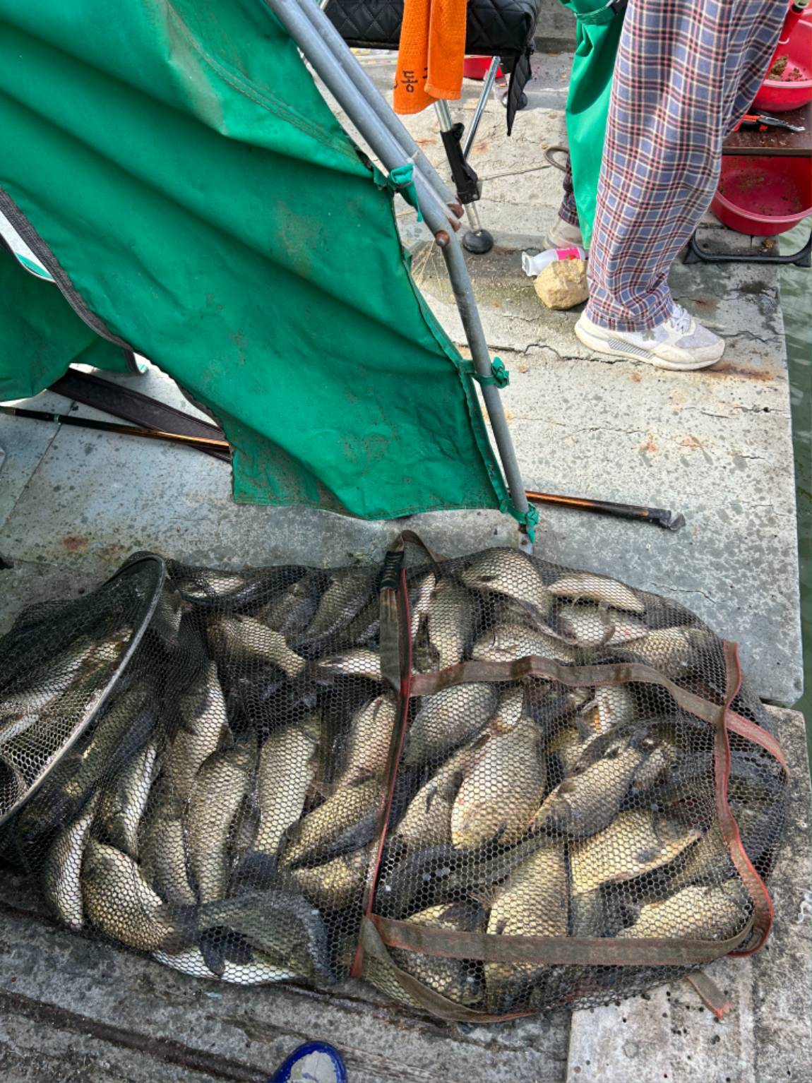 KakaoTalk_20260813_104807540_03.jpg
