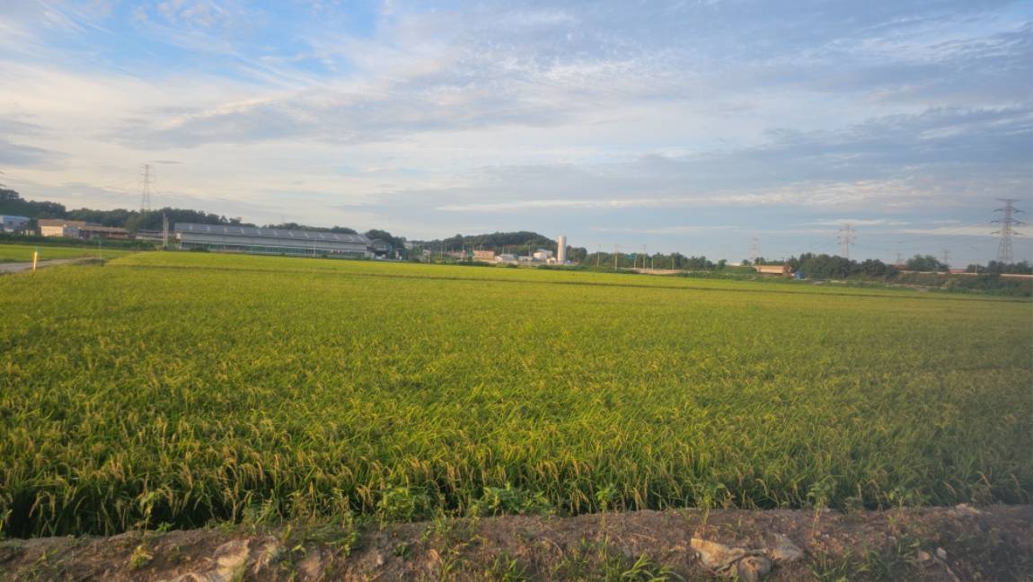 KakaoTalk_20260811_090102091.jpg