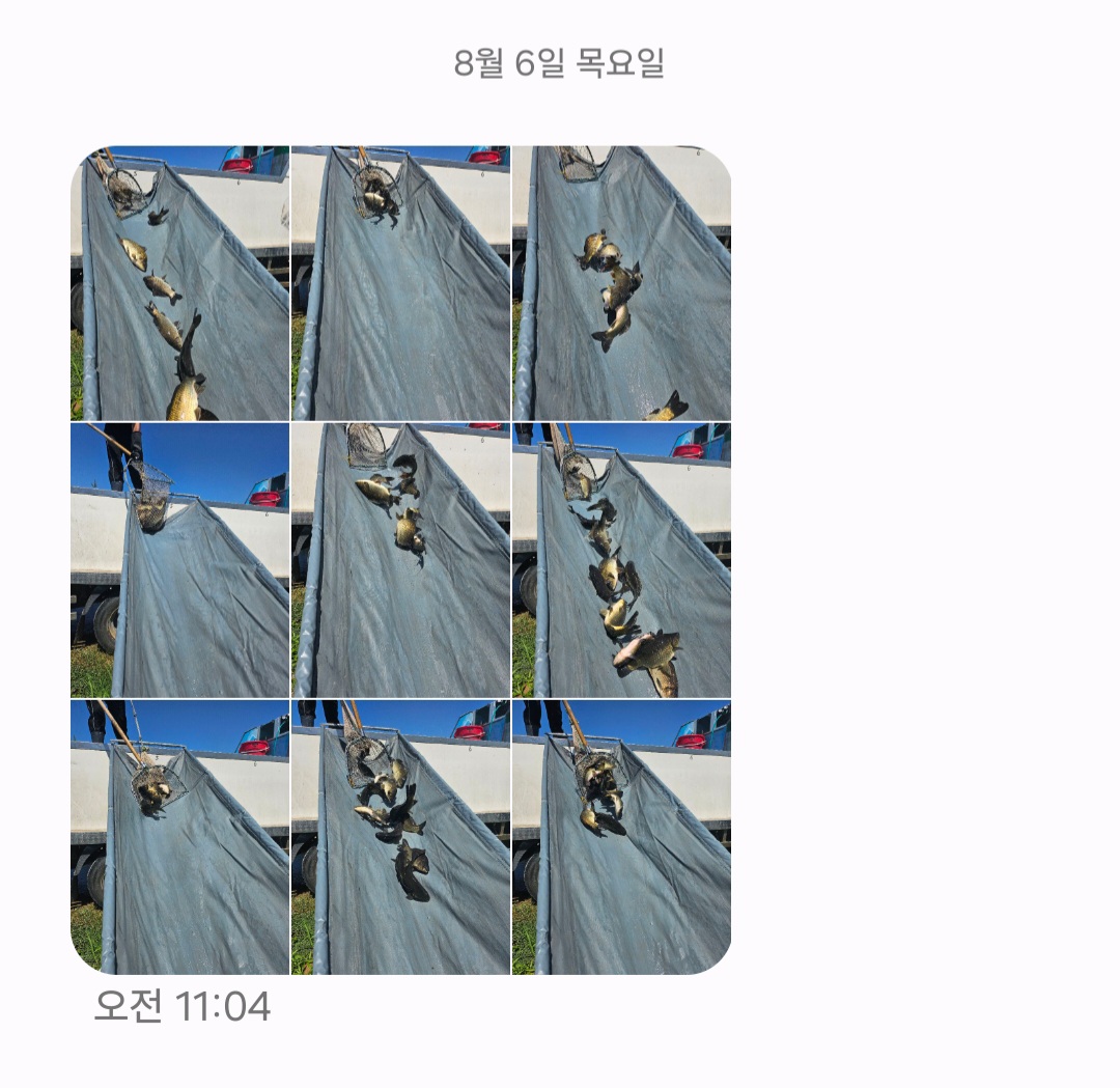 Screenshot_20260806_132951_Messages.jpg
