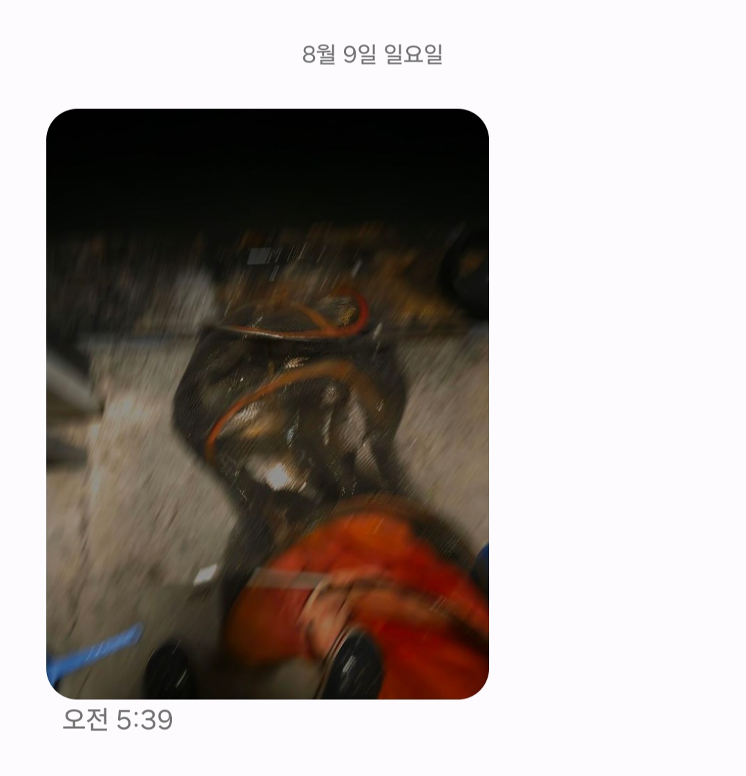 Screenshot_20260809_055746_Messages.jpg