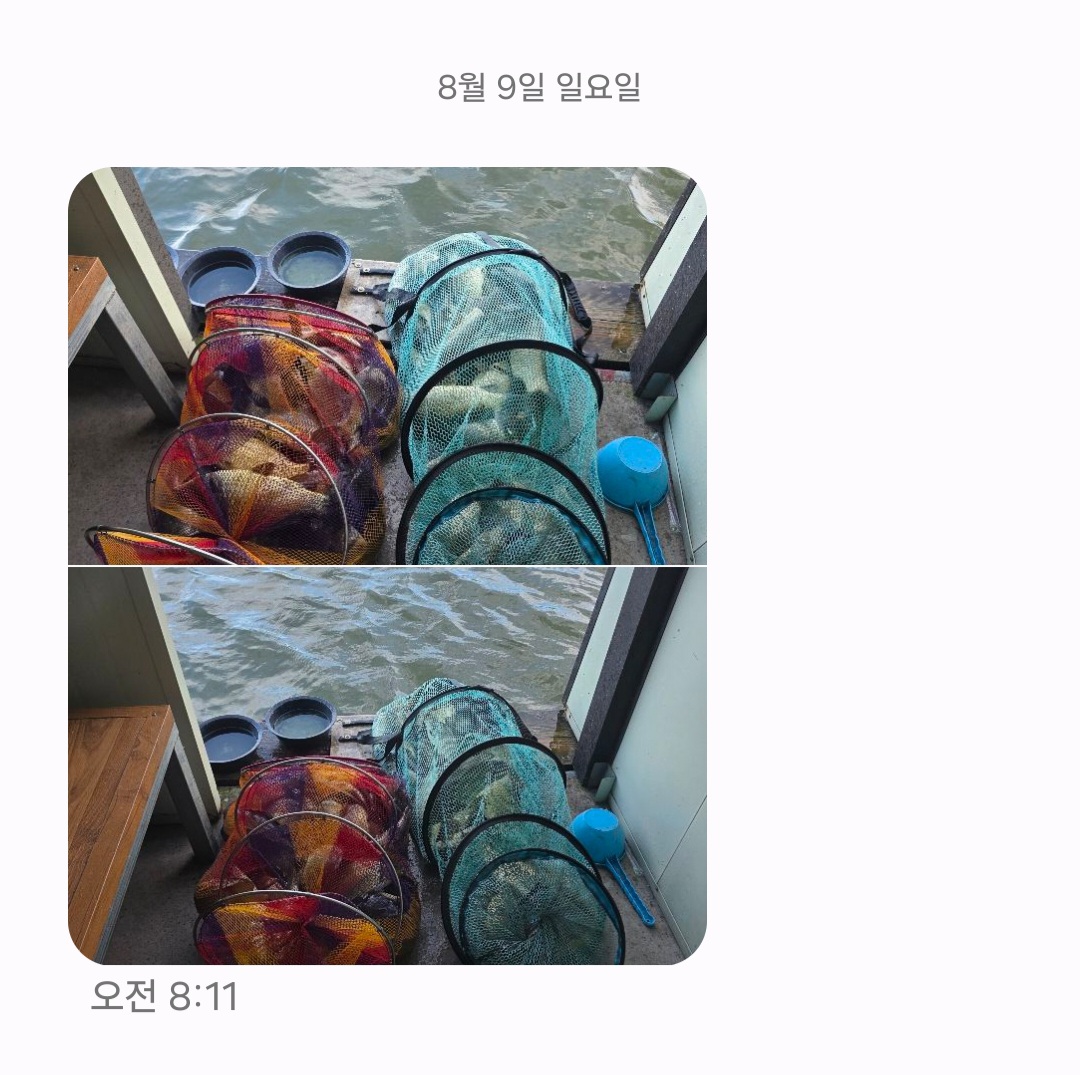Screenshot_20260809_125938_Messages.jpg
