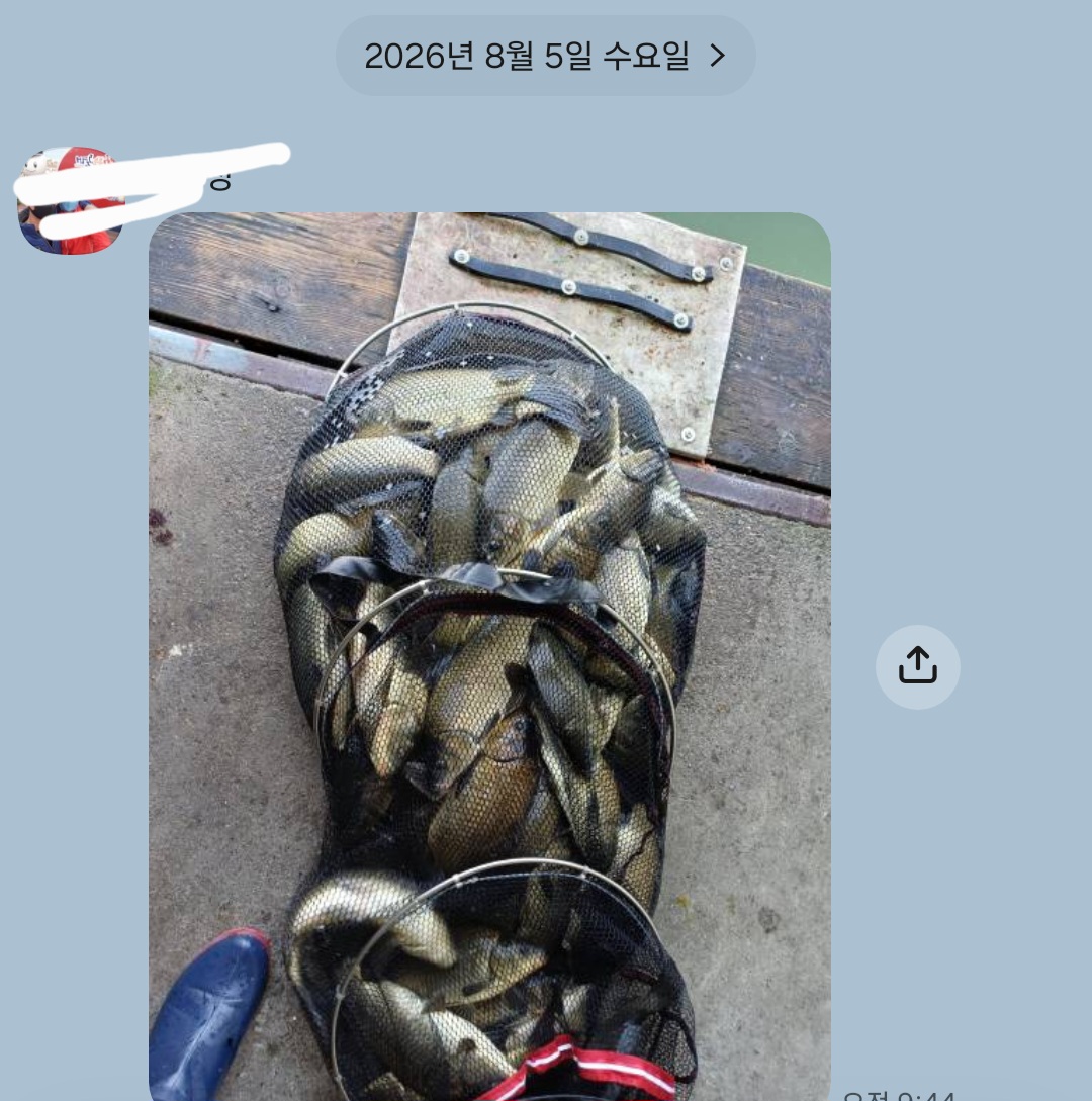 Screenshot_20260809_061324_KakaoTalk.jpg