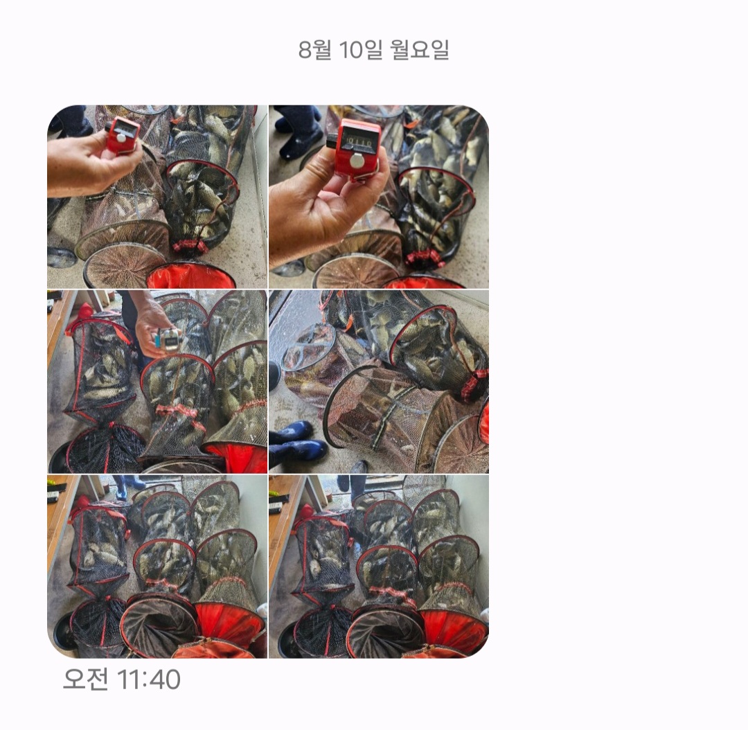 Screenshot_20260810_121041_Messages.jpg