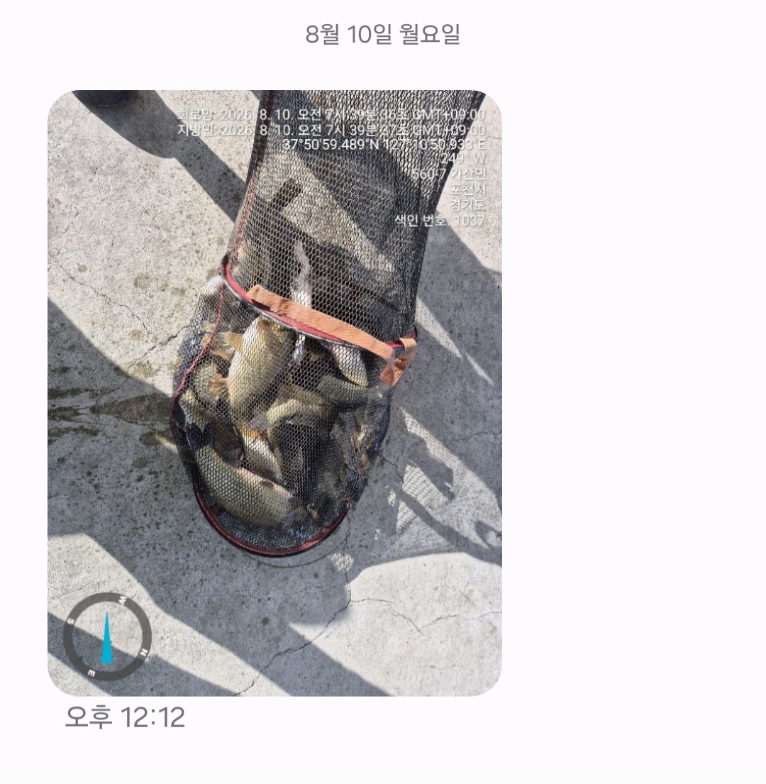 Screenshot_20260810_121410_Messages.jpg