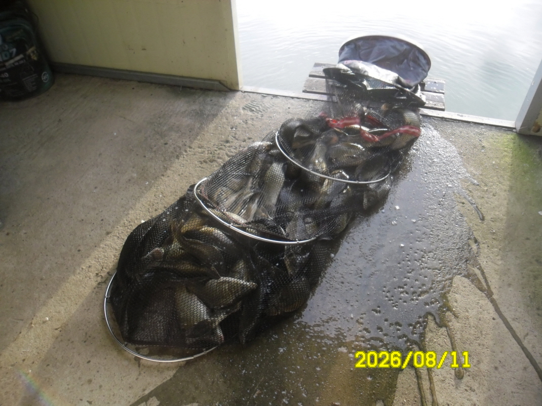 SAM_2006.JPG