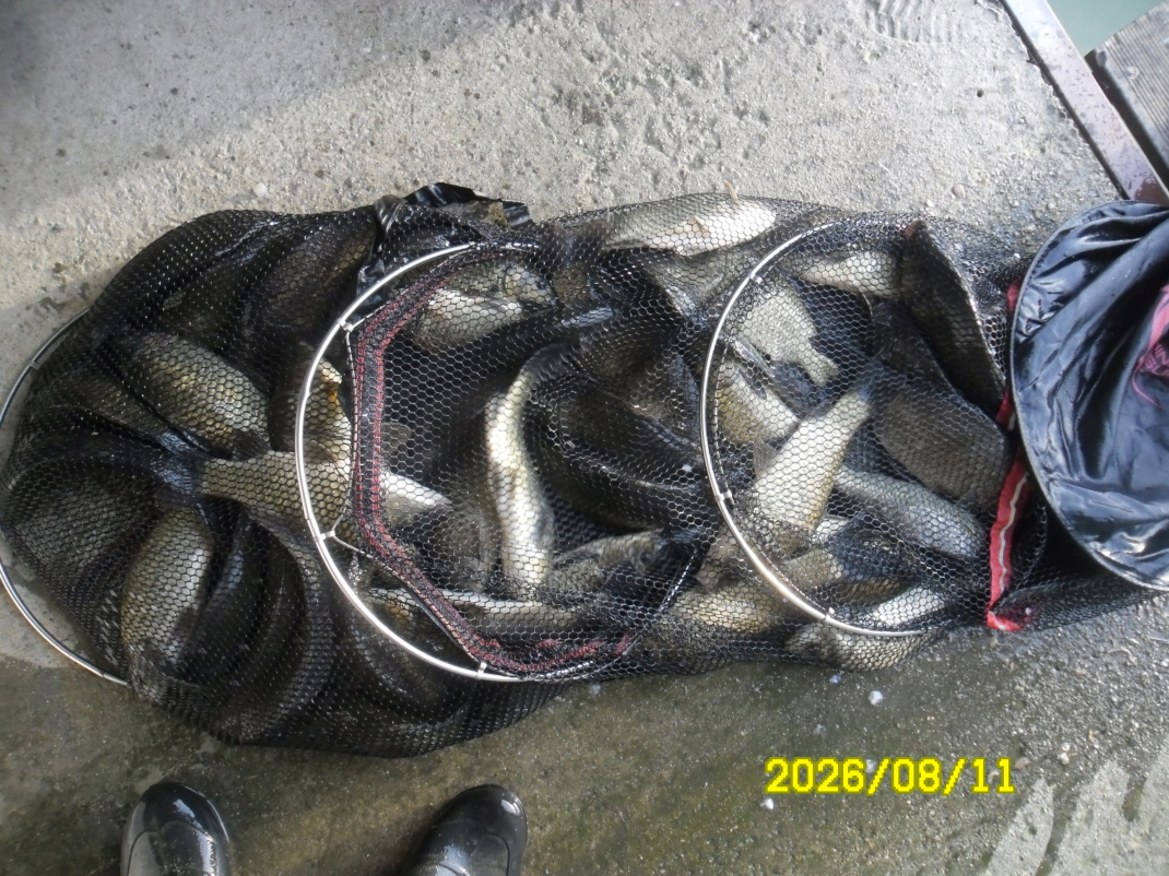 SAM_2008.JPG