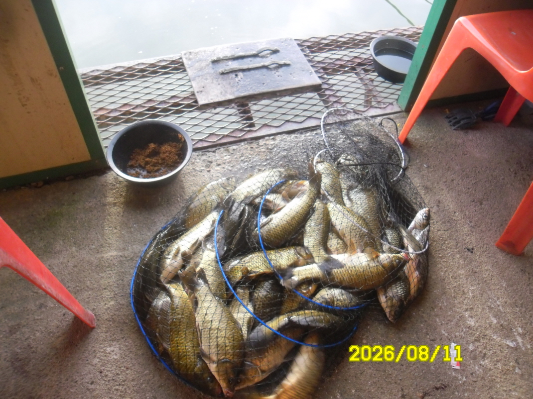 SAM_2009.JPG