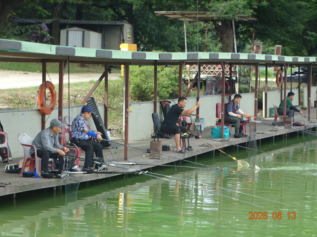 DSC07337.JPG
