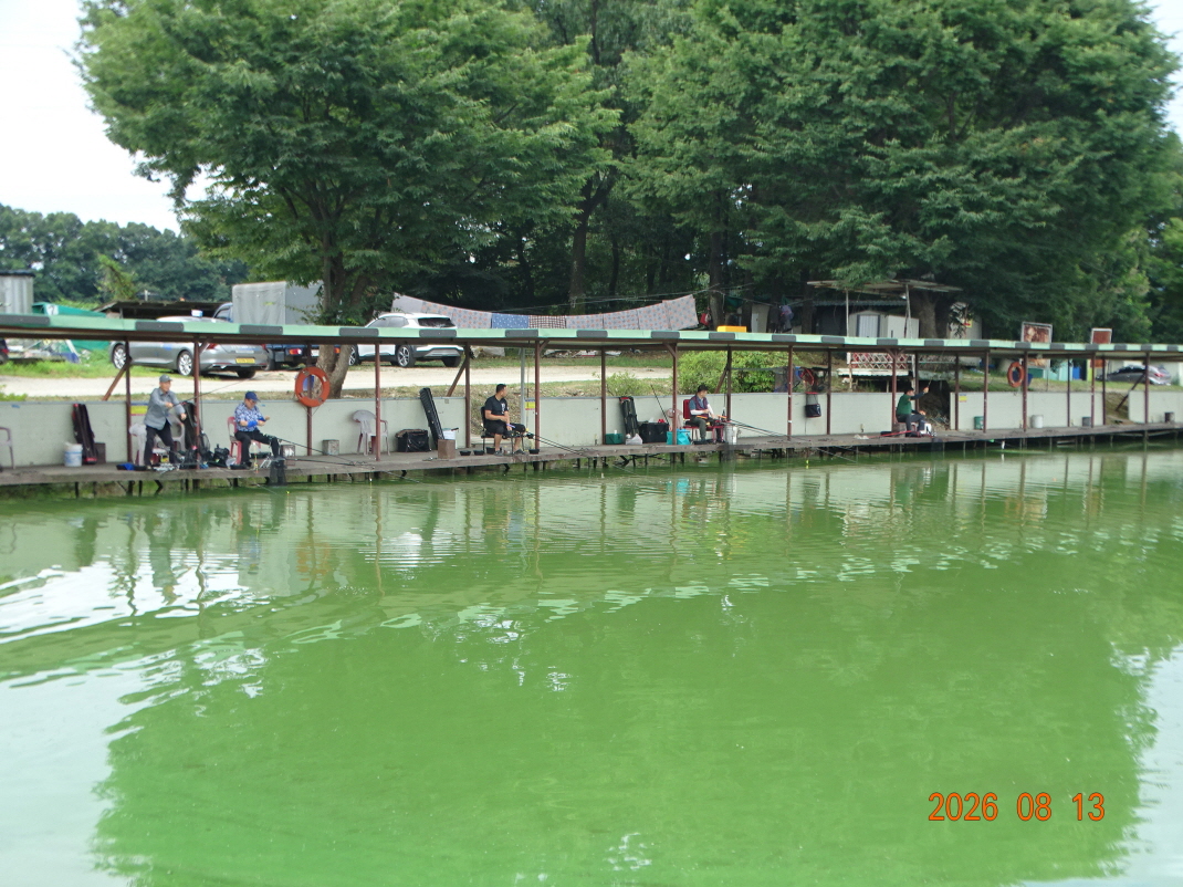 DSC07348.JPG