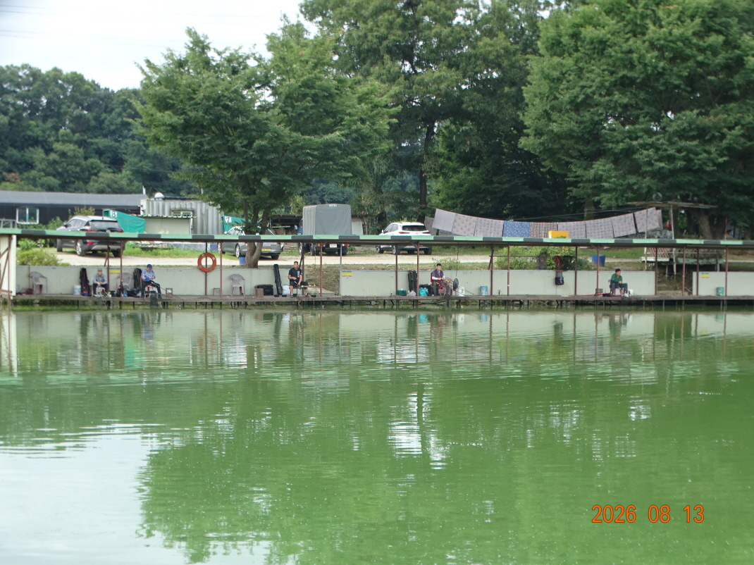 DSC07350.JPG