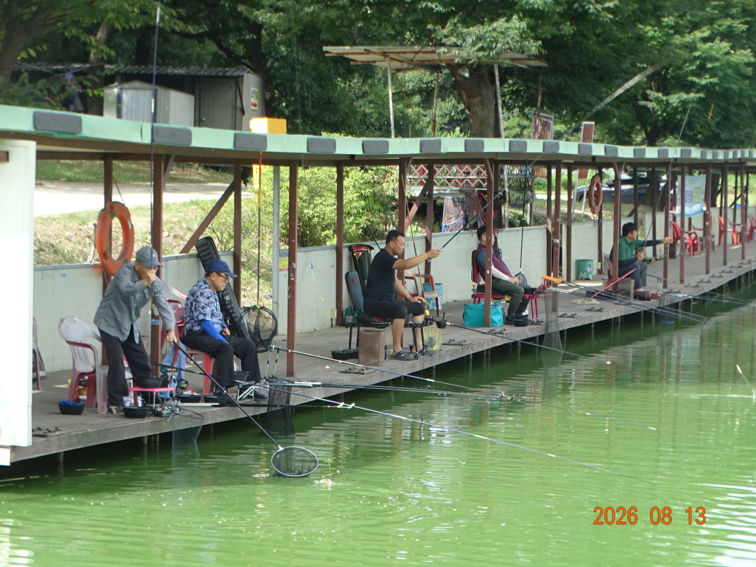 DSC07382.JPG