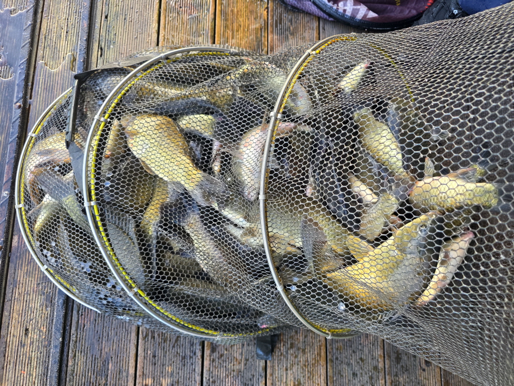 aKakaoTalk_20260814_065727624_13.jpg