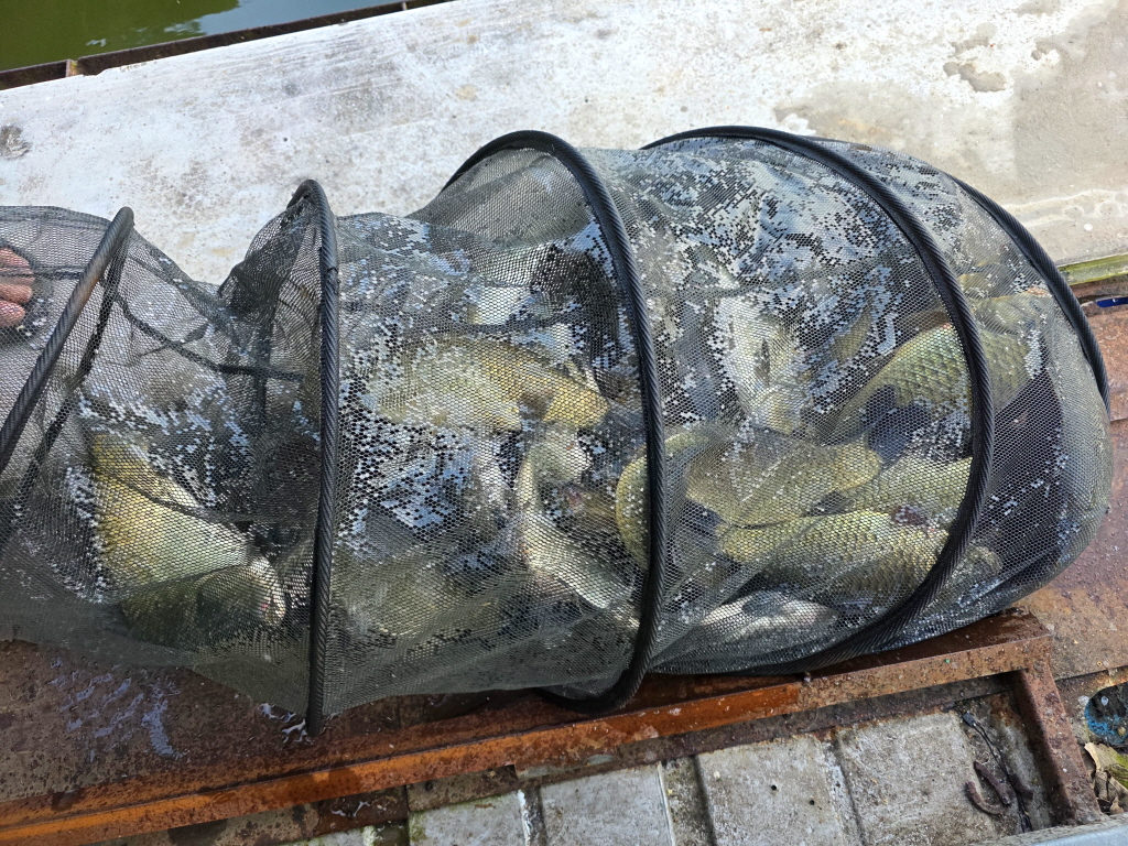 aKakaoTalk_20260814_065815696_22.jpg