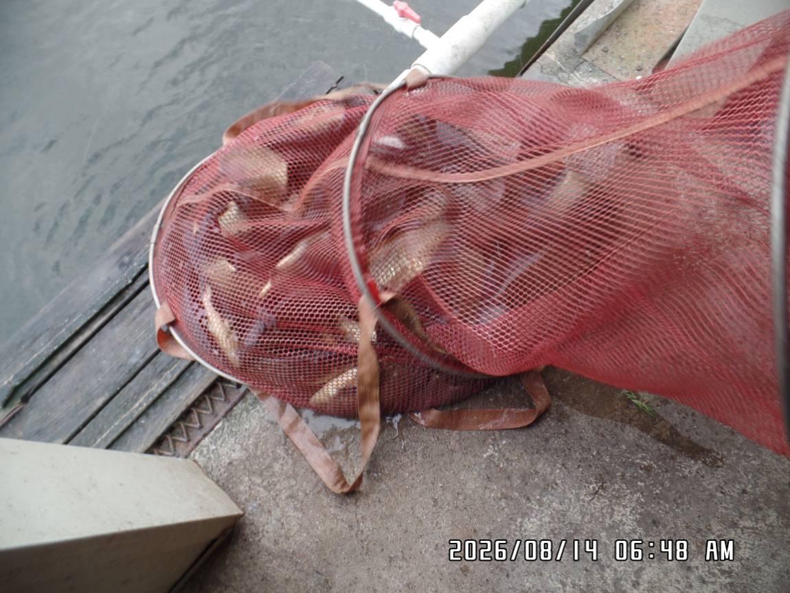 SAM_7893.JPG