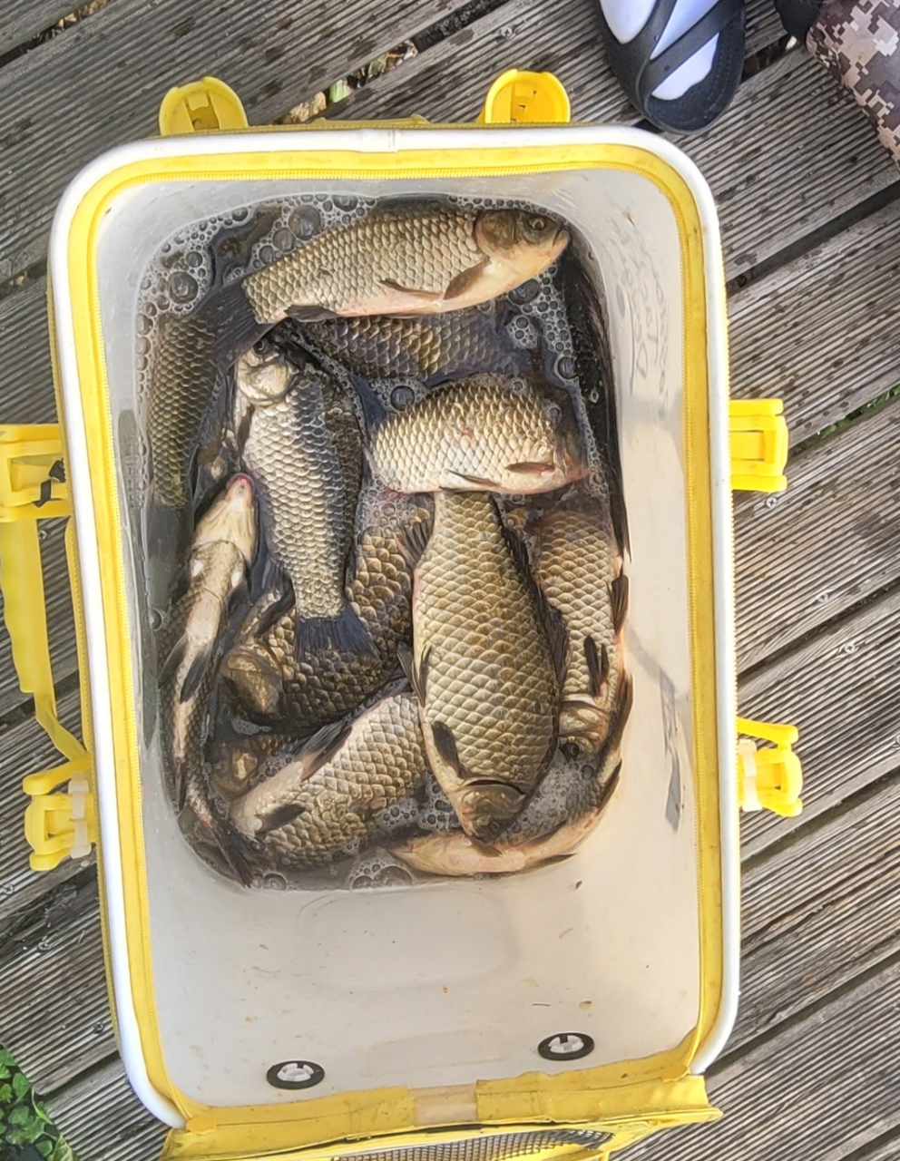 �⸮������_����_20260809_10.jpg