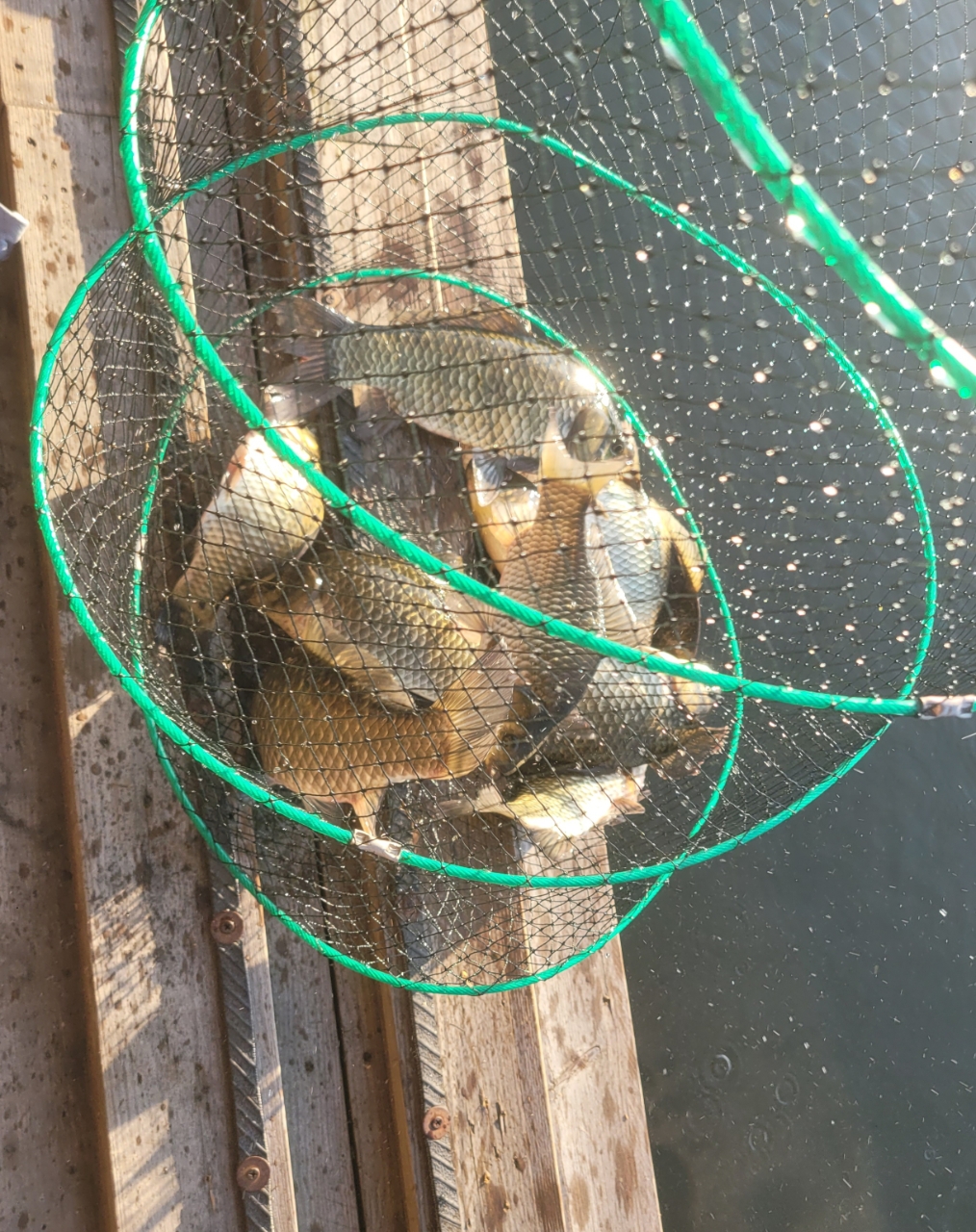 �⸮������_����_20260808_23.jpg