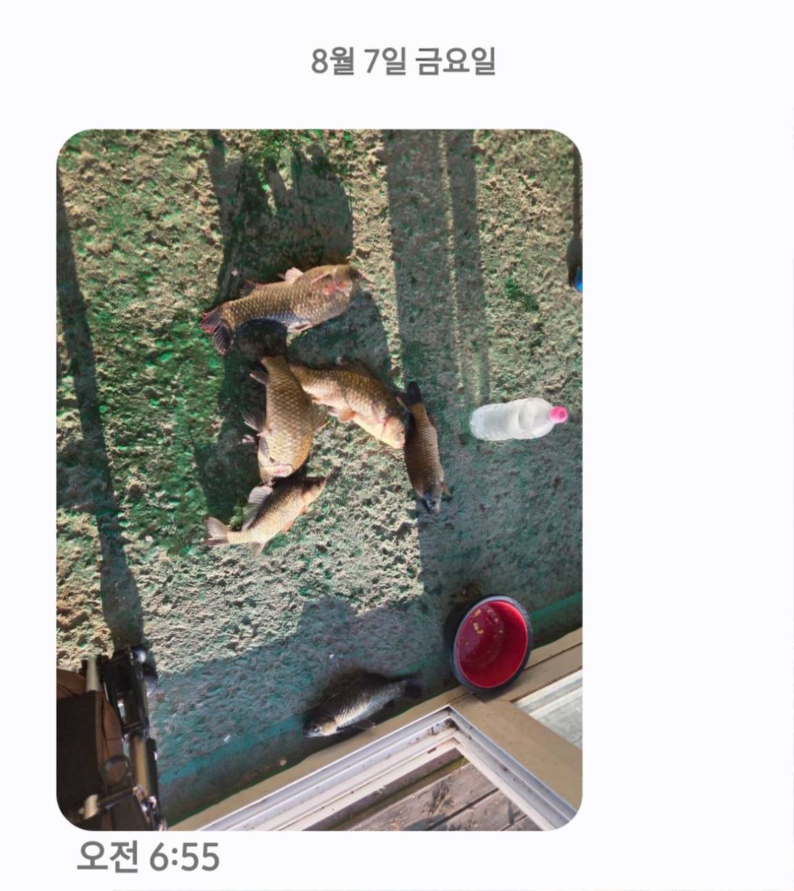 Screenshot_20260807_073931_Messages.jpg