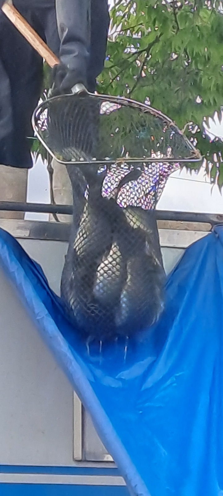 KakaoTalk_20260814_143115207_03.jpg