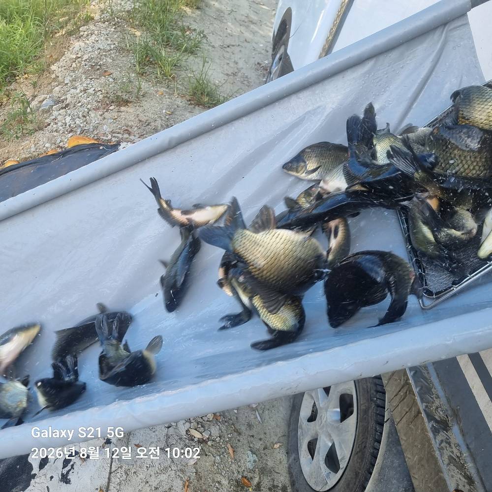20260812_100255.jpg