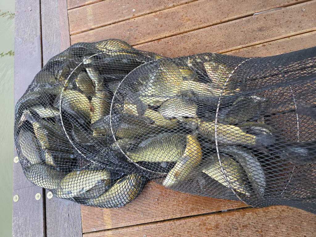 aKakaoTalk_20260815_095330037_27.jpg