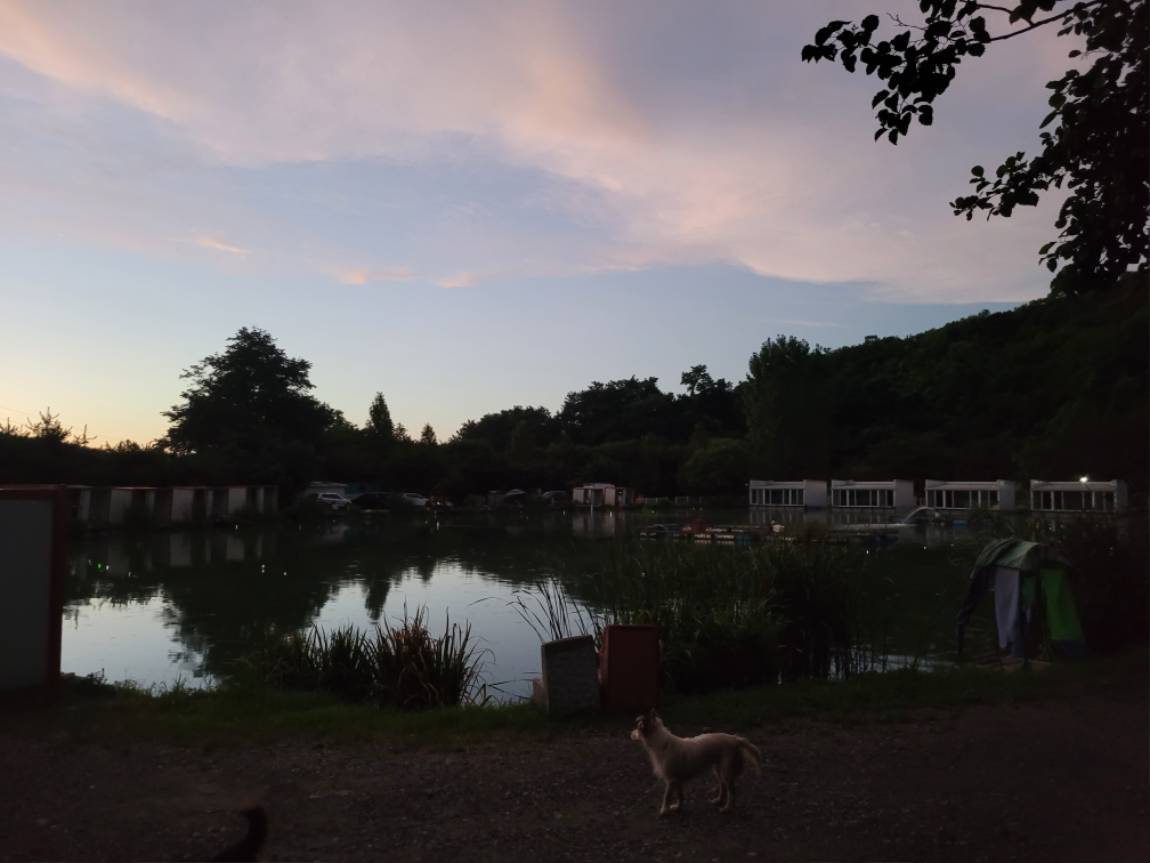 20260808_195619.jpg