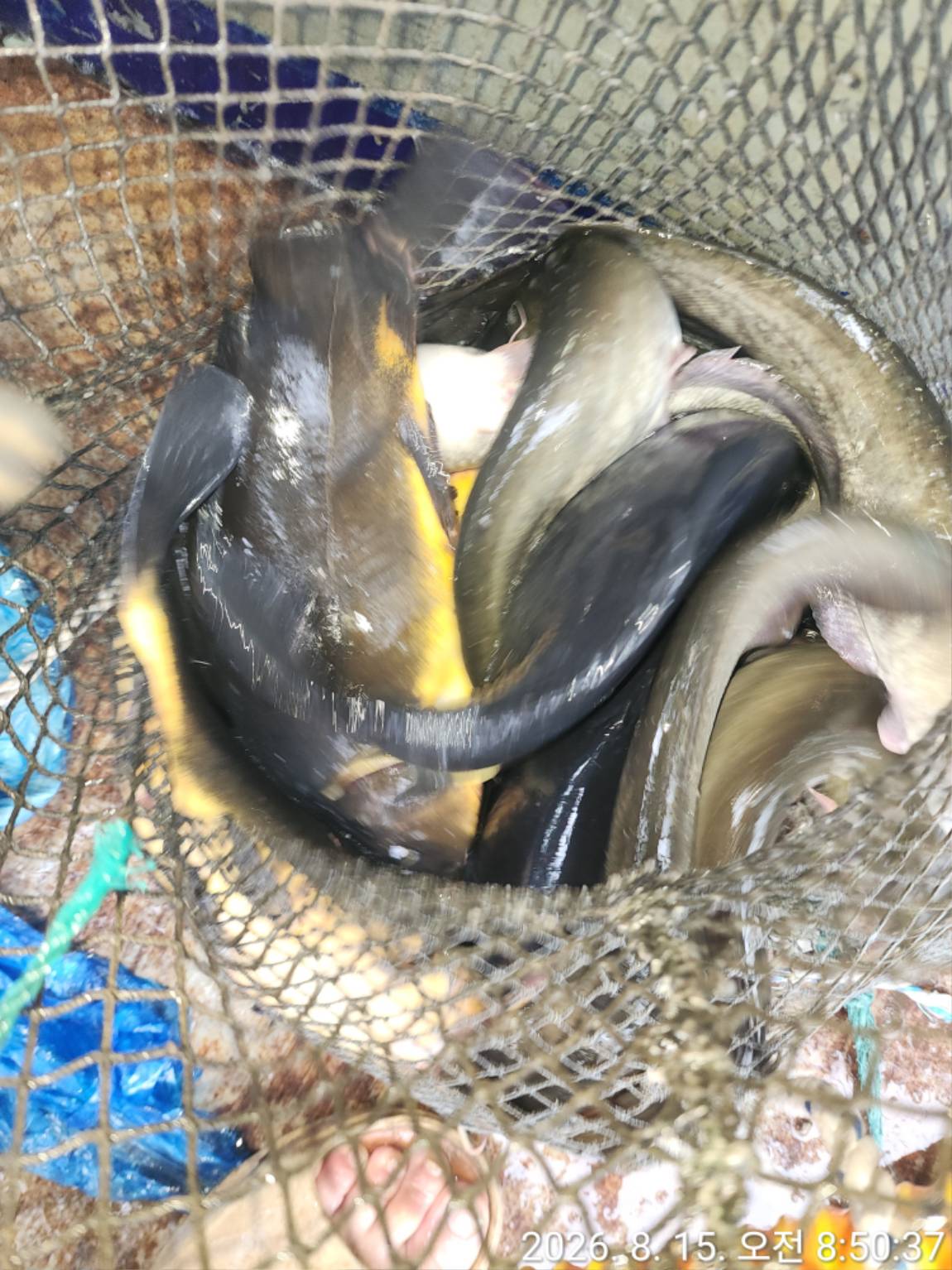 TimePhoto_20260815_085037.jpg