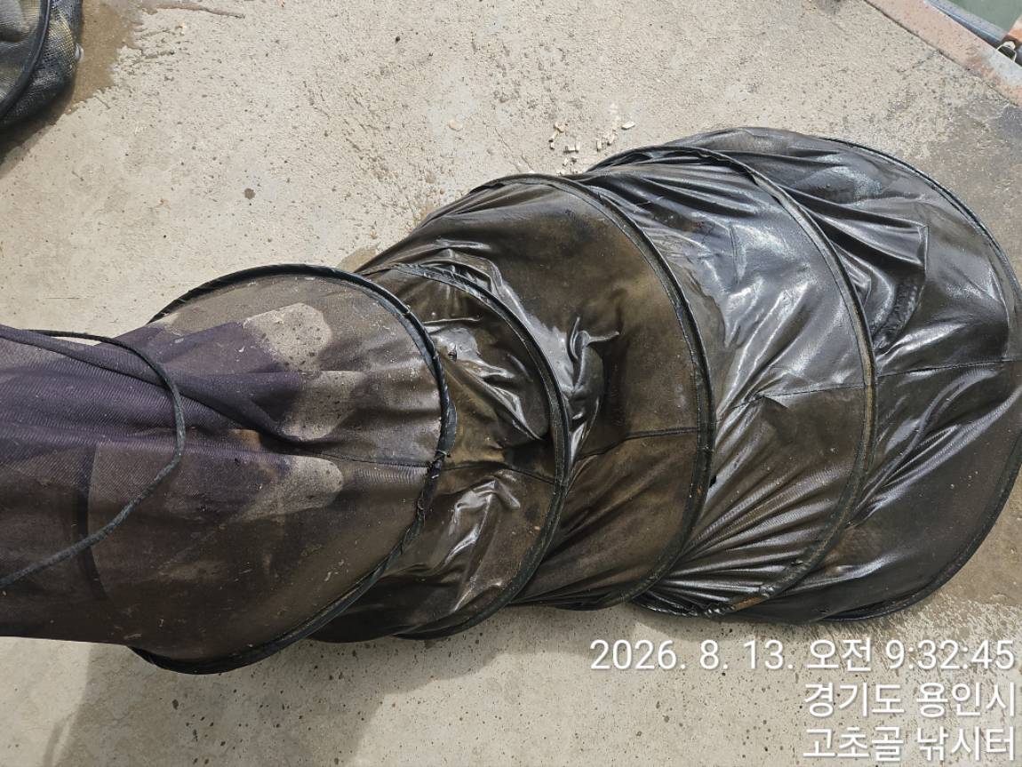 1786836766949.jpg