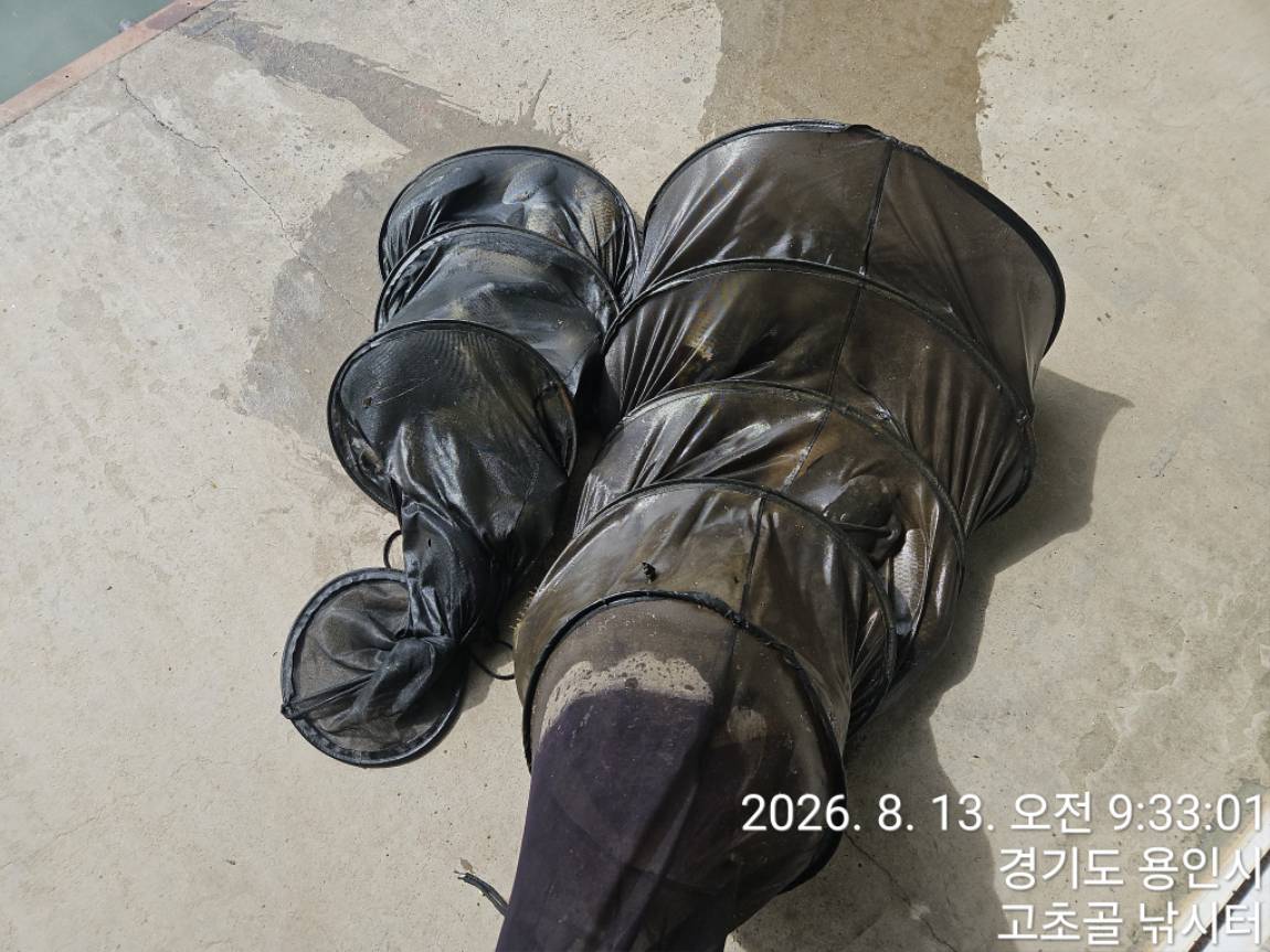 1786836767147.jpg