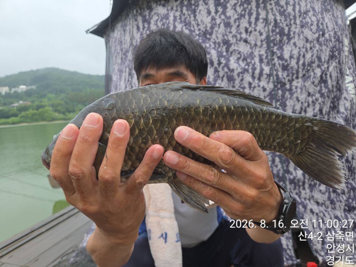 KakaoTalk_20260816_224110832_08.jpg