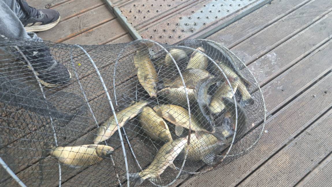 20260814_063652.jpg