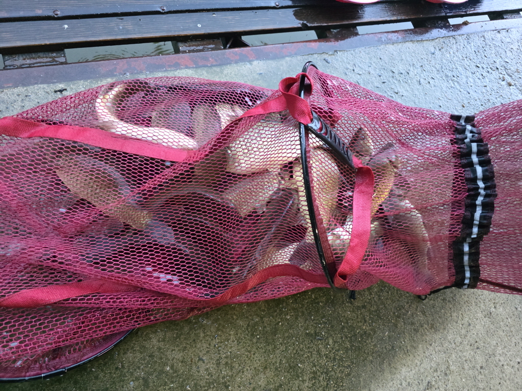 aKakaoTalk_20260817_094211668_10.jpg