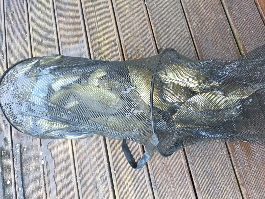 aKakaoTalk_20260817_094122097_22.jpg