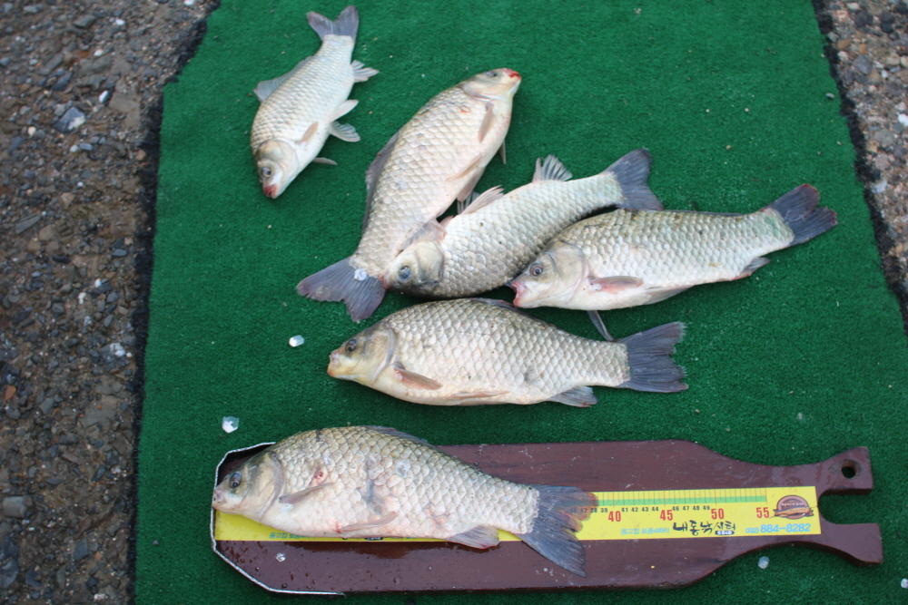 ũ�⺯ȯ_IMG_2054.JPG