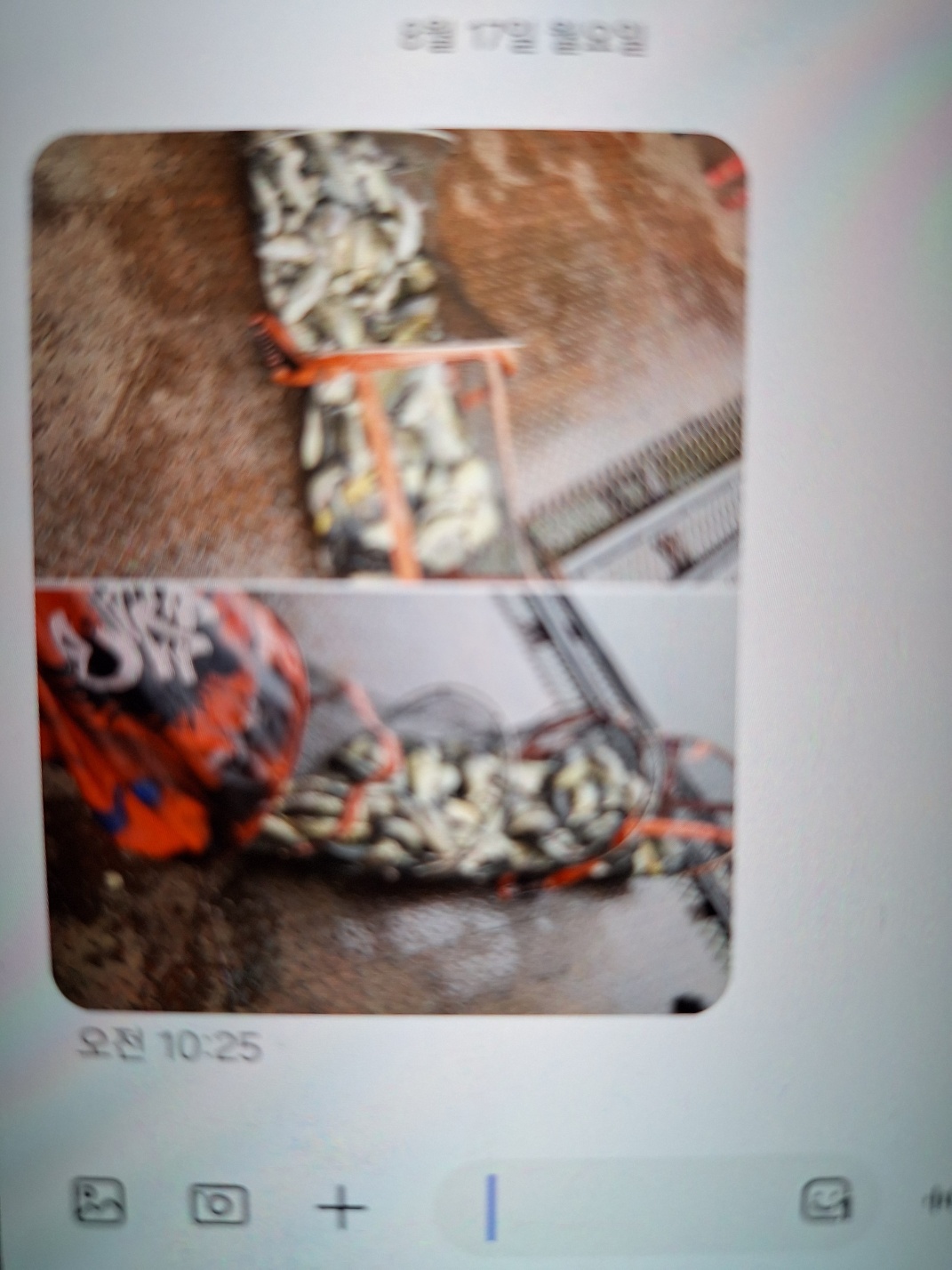 KakaoTalk_20260817_114131347.jpg