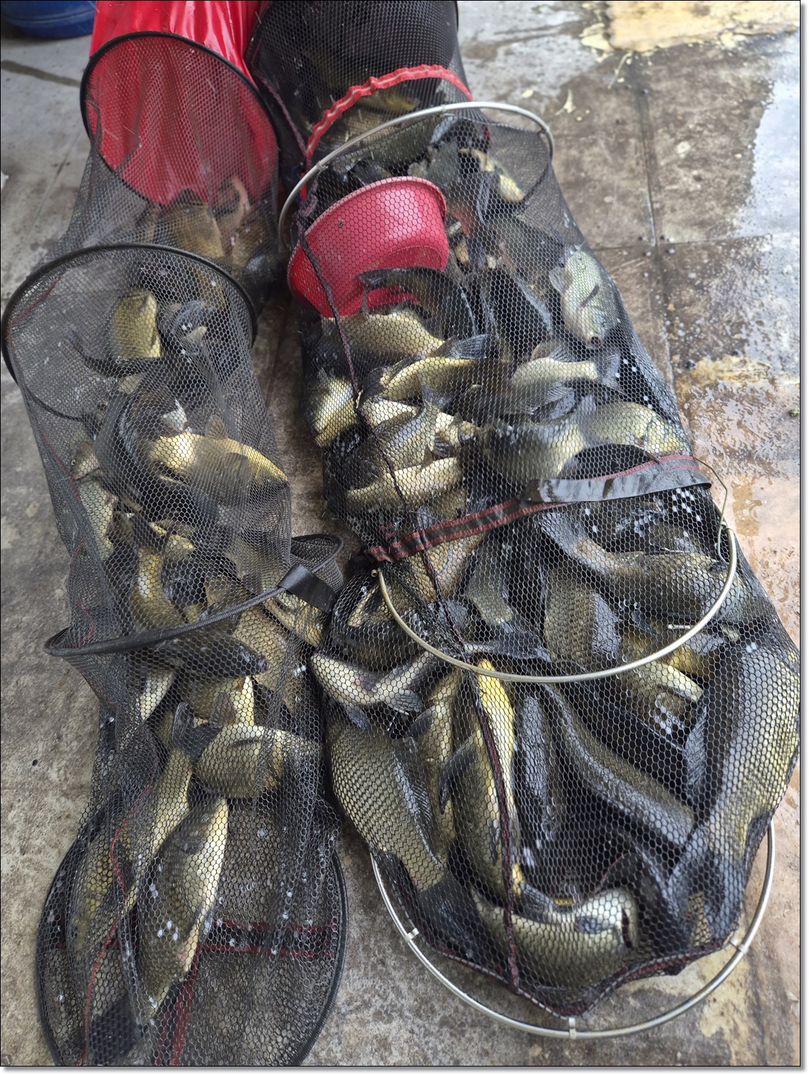 KakaoTalk_20260817_111737953_19.jpg