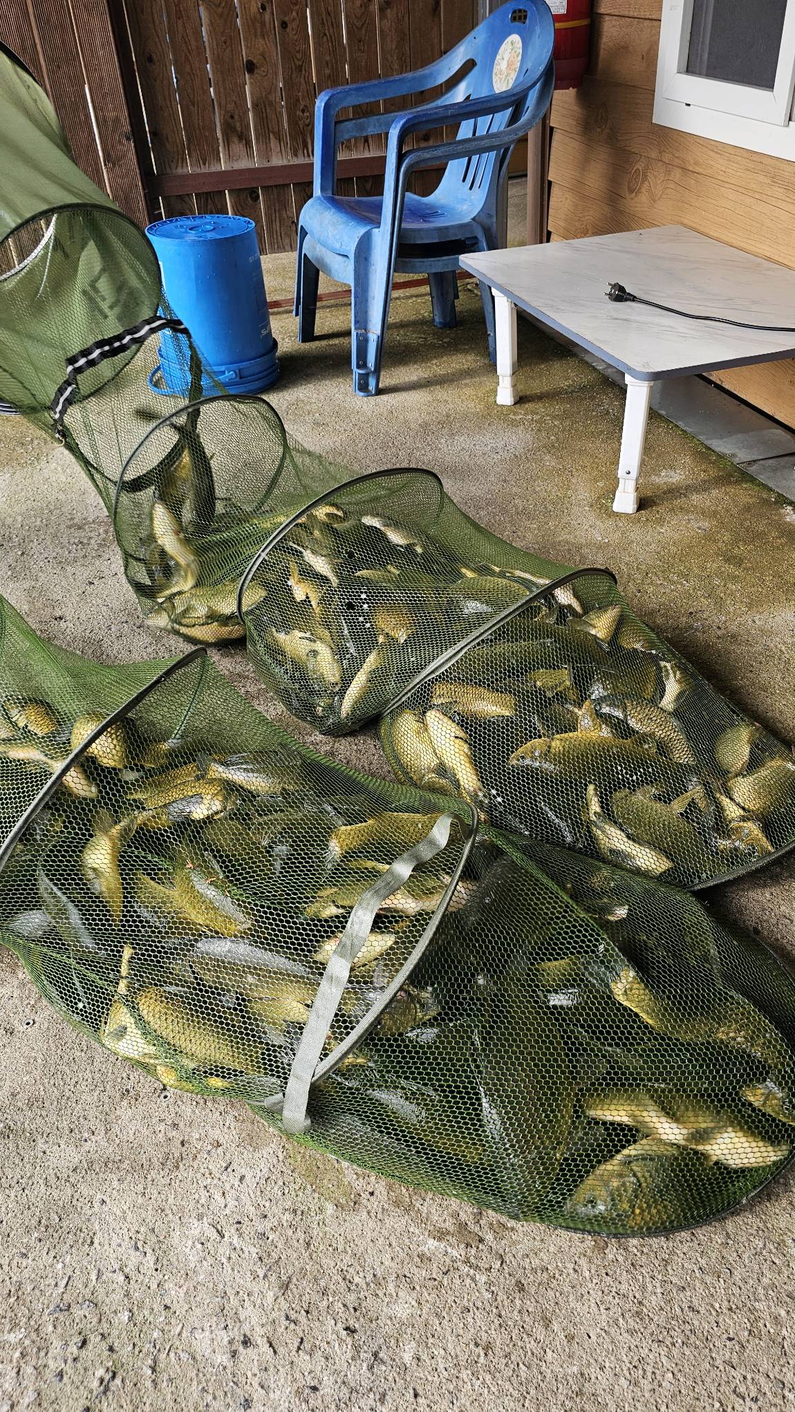 20260814_083251.jpg