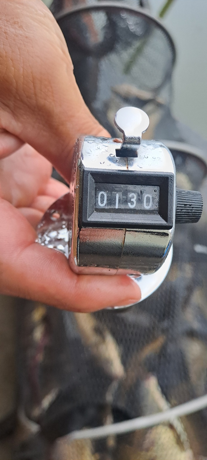 1786938790395.jpg