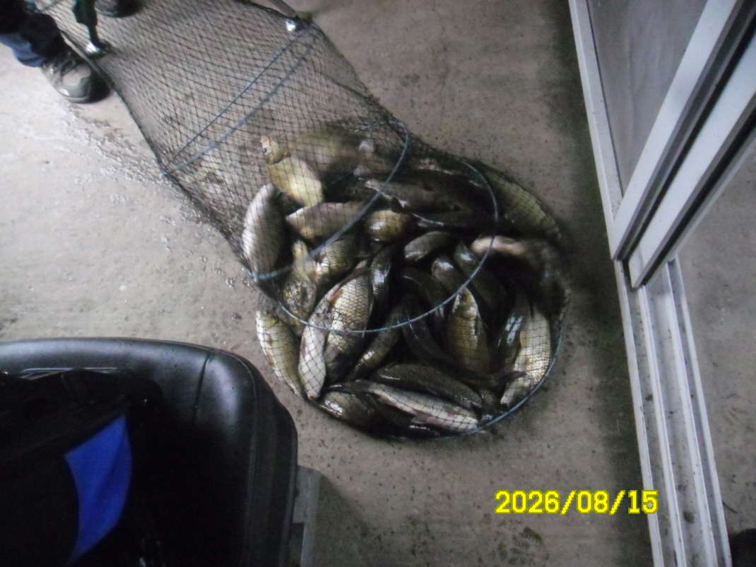 SAM_2079.JPG